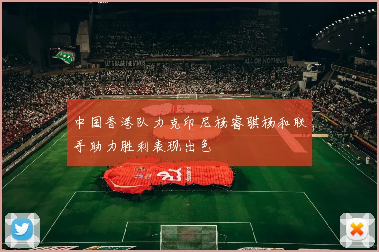中国香港队力克印尼杨睿骐杨和联手助力胜利表现出色